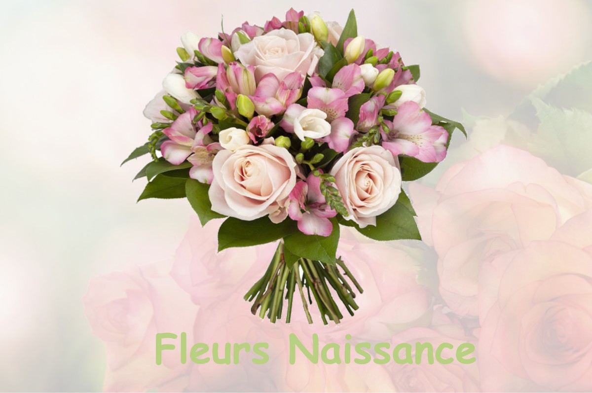 fleurs naissance RAZAC-SUR-L-ISLE